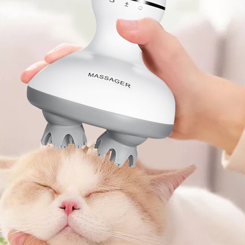 Draadloze waterdichte elektris - Hair Scalp Massager recensie en prijs